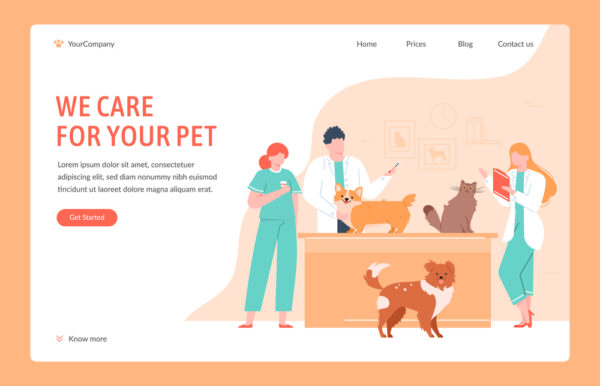 Veterinary Website Designers Wellington
